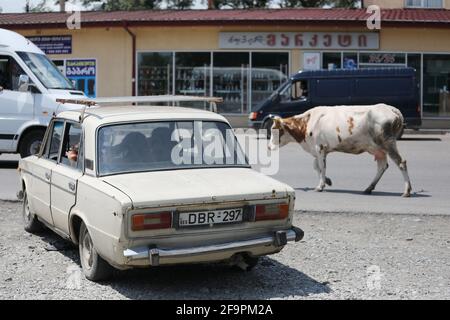 19.07.2018, Tbilissi, Tbilissi, Géorgie - Cow marchant le long d'une rue dans la ville. 00S180719D606CAROEX.JPG [AUTORISATION DU MODÈLE : NON, AUTORISATION DU PROPRIÉTAIRE : NON (C) C Banque D'Images