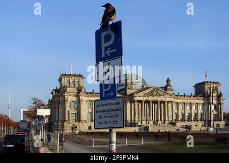 14.11.2018, Berlin, Berlin, Allemagne - Crow assis sur un panneau de parc au bâtiment Reichstag. 00S181114D532CAROEX.JPG [AUTORISATION DU MODÈLE : NON, PROPRIÉTÉ RELE Banque D'Images