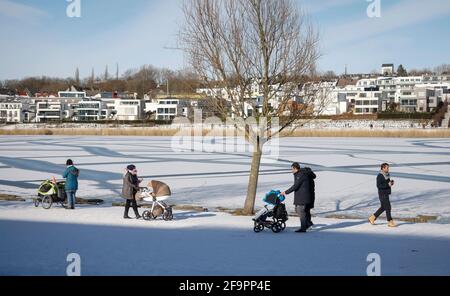 14.02.2021, Dortmund, Rhénanie-du-Nord-Westphalie, Allemagne - poussettes avec poussettes au lac de Phoenix en hiver dans la glace et la neige, derrière des condominiums de luxe Banque D'Images