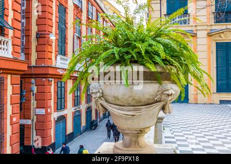 Palazzo rosso et un pot de fleurs à Gênes, en Italie Banque D'Images