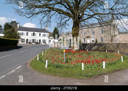 Beau temps de printemps à Newton à Bowland, Lancashire, Royaume-Uni. Banque D'Images