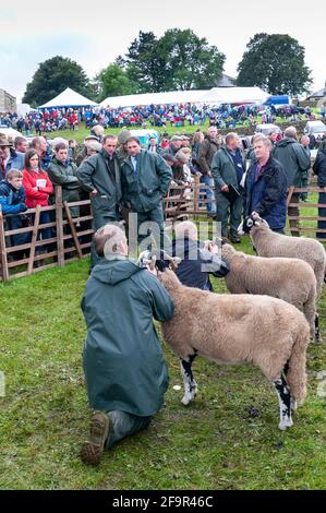 Les fermiers au Muker montrent à Swaledale montrant des moutons. Parc national de Yorkshire Dales, 2009. Banque D'Images