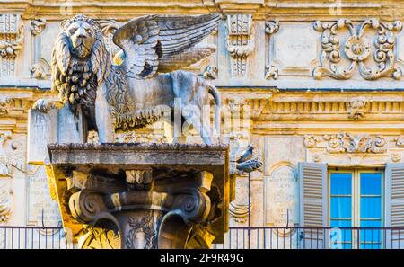 La célèbre statue du lion sur la place Piazza Erbe à Vérone, en Italie Banque D'Images