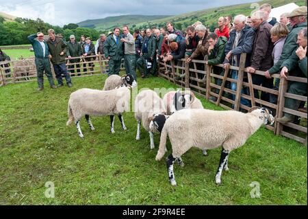 Les fermiers au Muker montrent à Swaledale montrant des moutons. Parc national de Yorkshire Dales, 2009. Banque D'Images