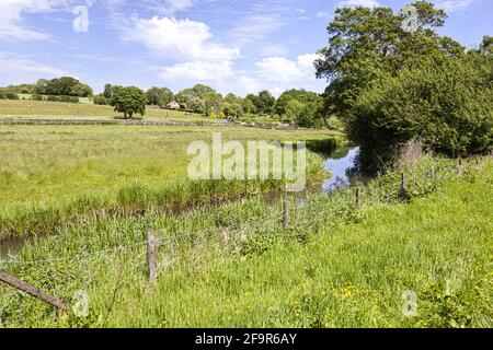 Prés d'eau à côté de la jeune rivière Coln dans le village Cotswold de Coln Rogers, Gloucestershire Royaume-Uni Banque D'Images