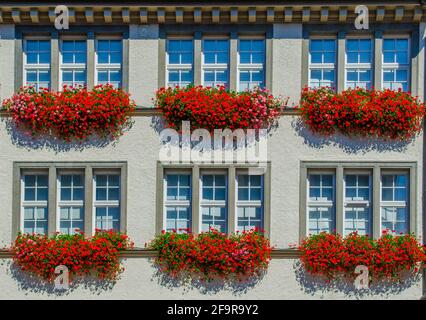 Détail d'une façade de la boutique Hirmer à munich allemande Banque D'Images