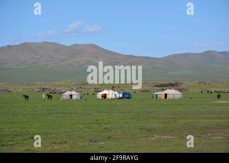 Un camp de ségers nomades dans le centre de la Mongolie en août.Les camps se déplacent en fonction des saisons, déplaçant le bétail vers différentes zones de pâturage. Banque D'Images