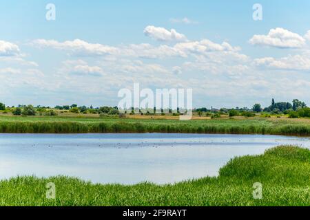 Un lac salin situé à côté du neusiedlersee à Burgenland, en Autriche. Banque D'Images