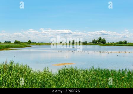 Un lac salin situé à côté du neusiedlersee à Burgenland, en Autriche. Banque D'Images