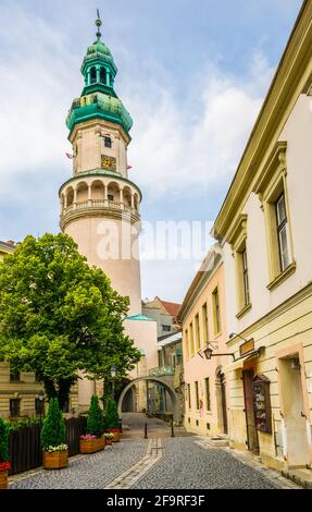 Vue sur la cheminée de Sopron, Hongrie Banque D'Images