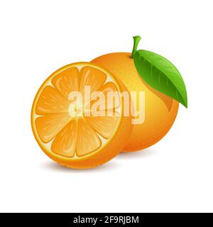 Illustration de dessin animé à vecteur de fruit orange isolée sur fond blanc. Fruits frais entiers et demi tranchés juteux pour un régime sain. Fruits exotiques et savoureux, pleins de vitamine c pour la limonade ou le cocktail. Illustration de Vecteur