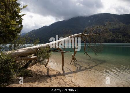 Vue panoramique sur le lac de Fuschl (Fuschlsee)Salzbourg, Salzkammergut,Autriche,Europe. Banque D'Images