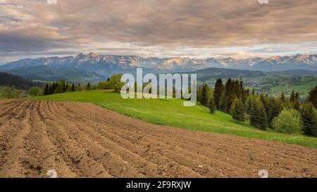 Vue sur les montagnes Tatra depuis Czarna Góra (Podhale) ressort Banque D'Images