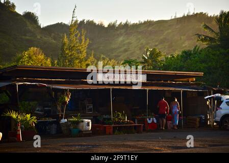 Des jeunes couples magasinent au coucher du soleil sur le stand de marché de la ferme situé sur le bord de la route à Kahuku Land Farms, sur la rive nord d'Oahu, près de Turtle Bay Resort, Hawaii, États-Unis Banque D'Images