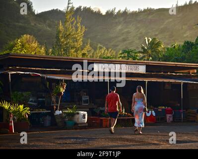 Des jeunes couples magasinent au coucher du soleil sur le stand de marché de la ferme situé sur le bord de la route à Kahuku Land Farms, sur la rive nord d'Oahu, près de Turtle Bay Resort, Hawaii, États-Unis Banque D'Images