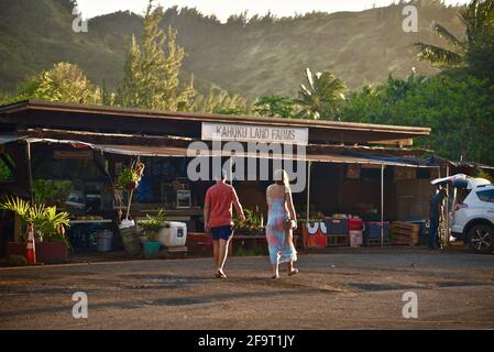 Des jeunes couples magasinent au coucher du soleil sur le stand de marché de la ferme situé sur le bord de la route à Kahuku Land Farms, sur la rive nord d'Oahu, près de Turtle Bay Resort, Hawaii, États-Unis Banque D'Images