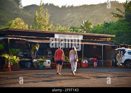 Des jeunes couples magasinent au coucher du soleil sur le stand de marché de la ferme situé sur le bord de la route à Kahuku Land Farms, sur la rive nord d'Oahu, près de Turtle Bay Resort, Hawaii, États-Unis Banque D'Images