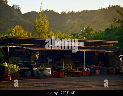 Des jeunes couples magasinent au coucher du soleil sur le stand de marché de la ferme situé sur le bord de la route à Kahuku Land Farms, sur la rive nord d'Oahu, près de Turtle Bay Resort, Hawaii, États-Unis Banque D'Images