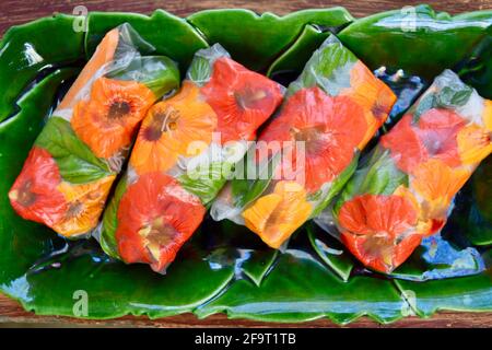 Rouleaux de printemps frais de jardin remplis de fleurs comestibles de nasturtium colorées, menthe, nouilles de riz et tofu, plateau de service vert sur table, Wisconsin, Etats-Unis. Banque D'Images