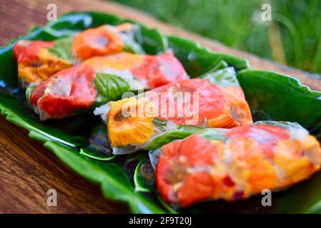 Rouleaux de printemps frais de jardin remplis de fleurs comestibles de nasturtium colorées, menthe, nouilles de riz et tofu, plateau de service vert sur table, Wisconsin, Etats-Unis. Banque D'Images