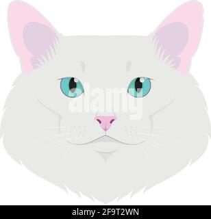 Chat d'Angora turc isolé sur fond blanc illustration vectorielle Illustration de Vecteur