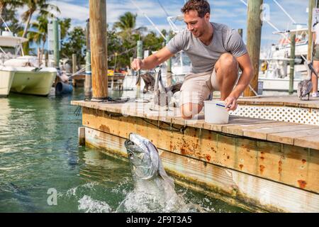 Florida tourisme vacances d'été attraction touristique homme ayant plaisir nourrissant le poisson tarpon dans les clés, USA Voyage style de vie Banque D'Images