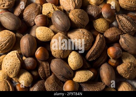 Noix de Grenoble bio mélangées avec noix de pacanes et amandes Banque D'Images