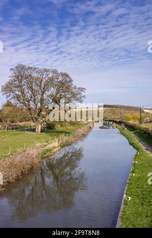 Kennet et Avon Canal entouré par le paysage pittoresque de North Wessex Downs au printemps 2021, Wiltshire, Angleterre, Royaume-Uni Banque D'Images