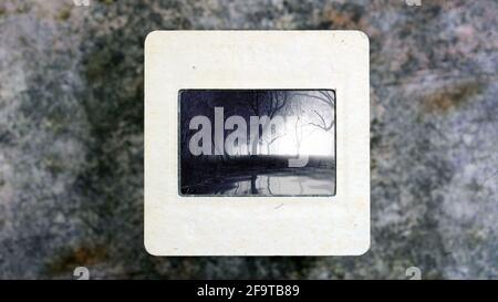 Arbres se reflétant dans l'eau sur un film de diapositives vintage Banque D'Images