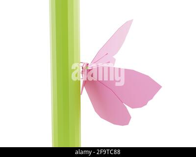 Papillon polypolygonal bas sur tige verte gros plan, isolé sur fond blanc, rendu 3d Banque D'Images