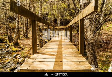 Pont en bois, passerelle au-dessus du ruisseau Teixedelo au printemps. Forêt d'El Tejedelo. Requejo de Sanabria. Zamora. Espagne. Banque D'Images