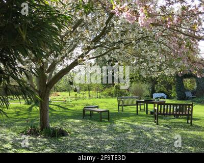 Vue sur le jardin du Bedfordshire de Kathy Brown, en journée ouverte En avril 2021 Banque D'Images