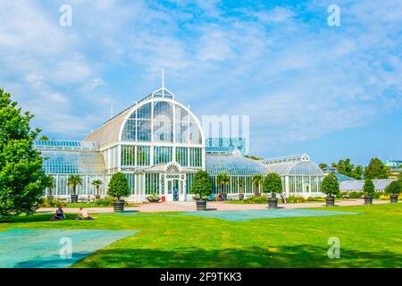 La serre de palmier à la Garden Society de Gothenburg dans Suède Banque D'Images