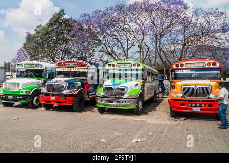 ANTIGUA, GUATEMALA - 28 MARS 2016 : les bus de poulet colorés, anciens bus scolaires américains, sont alignés à la gare routière principale d'Antigua Guatemala. Banque D'Images