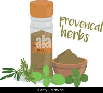 Illustration vectorielle d'herbes provençales isolée dans un style de dessin animé. Série d'herbes et d'espèces Illustration de Vecteur