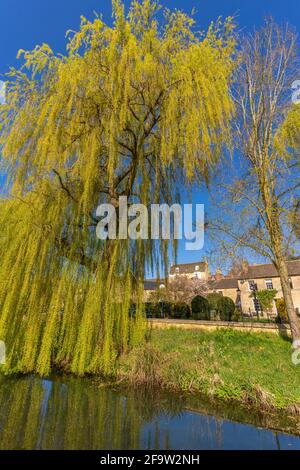 Vue sur le ruisseau dans la ville de Meadows, Stamford, South Kesteven, Lincolnshire, Angleterre, Royaume-Uni, Europe Banque D'Images