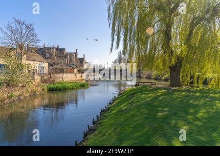 Vue sur le ruisseau dans la ville de Meadows, Stamford, South Kesteven, Lincolnshire, Angleterre, Royaume-Uni, Europe Banque D'Images