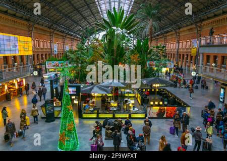 MADRID, ESPAGNE, 10 JANVIER 2016 : maison verte tropicale, située dans la gare d'Atocha à Madrid. Banque D'Images