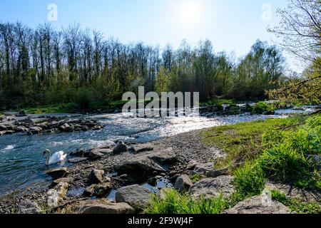 petite cascade sur la rivière gusen en haute-autriche Banque D'Images