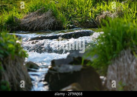 petite cascade sur la rivière gusen en haute-autriche Banque D'Images
