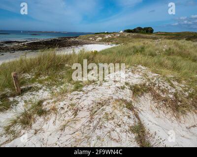 Dune et plage de sable blanc, presqu'île Sainte Marguerite, Landéda, Nord du Finistère, Bretagne, France. Banque D'Images