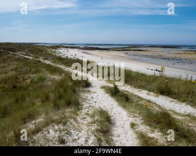 Sentier menant aux plages de sable blanc, presqu'île Sainte Marguerite, Landéda, Nord du Finistère, Bretagne, France. Banque D'Images