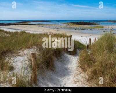 Sentier menant aux plages de sable blanc, presqu'île Sainte Marguerite, Landéda, Nord du Finistère, Bretagne, France. Banque D'Images