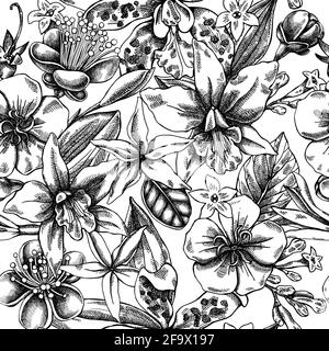 Motif sans couture avec laelia noir et blanc, fleurs de féijoa, buisson de gloire, papilio torquatus, cinchona, cattleya aclandiae Illustration de Vecteur