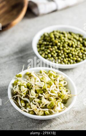 Les haricots verts et les haricots secs ont été germés dans un bol. Pousses de mung sur la table de cuisine. Banque D'Images