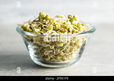 Haricots mung verts germés. Mung pousses dans un bol sur la table de cuisine. Banque D'Images