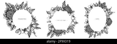 Cadres floraux avec plumeria noir et blanc, allamanda, clerodendrum, champak, etlingera, ixora Illustration de Vecteur