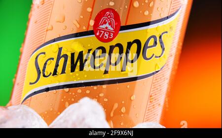 POZNAN, POL - 25 FÉVRIER 2021 : CAN of Schweppes, une marque suisse de boissons, introduite en 1783 et vendue dans le monde entier Banque D'Images