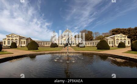 Syon Park, le Grand Conservatoire. Banque D'Images