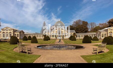 Syon Park, le Grand Conservatoire. Banque D'Images